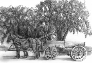 2-Horse_and_wagon_2